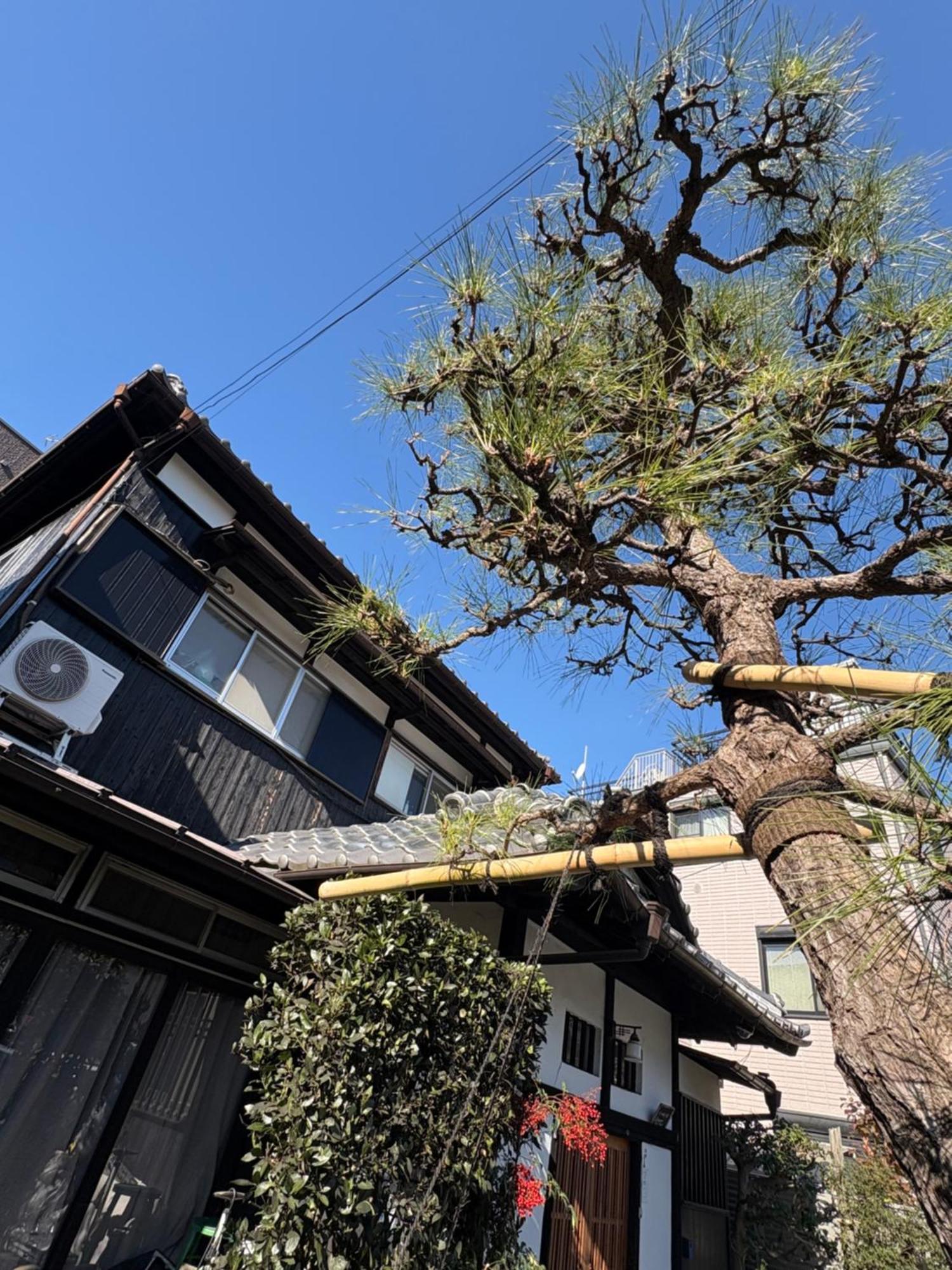 Kitazawa Cozy House Hotel Tokió Kültér fotó